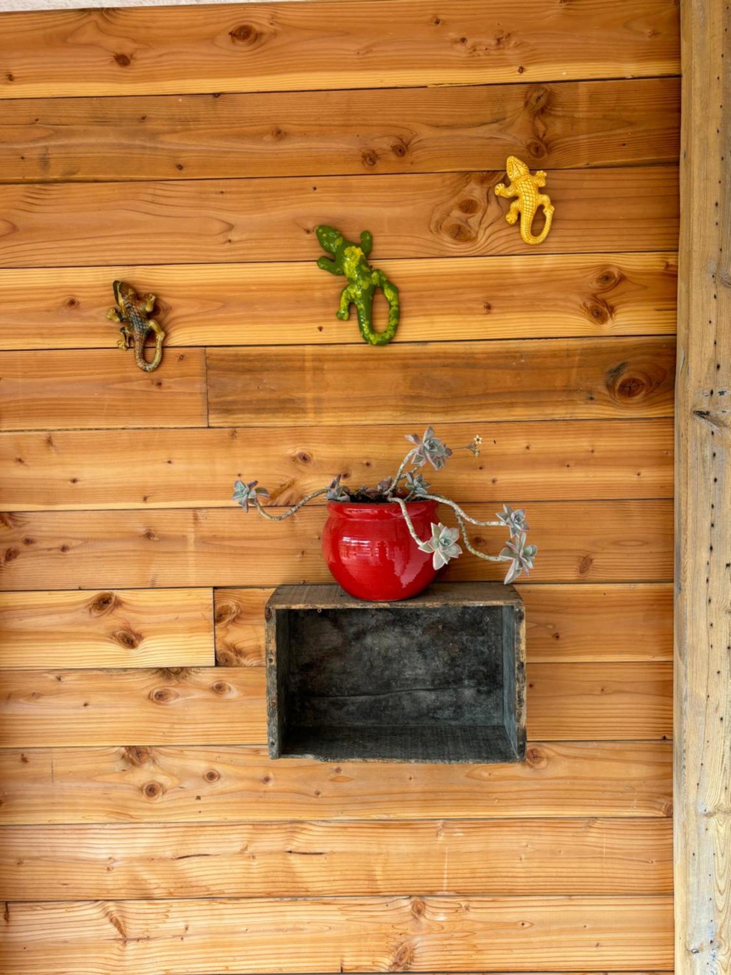 Apartmán Les Flo Location Aigues-Mortes Exteriér fotografie